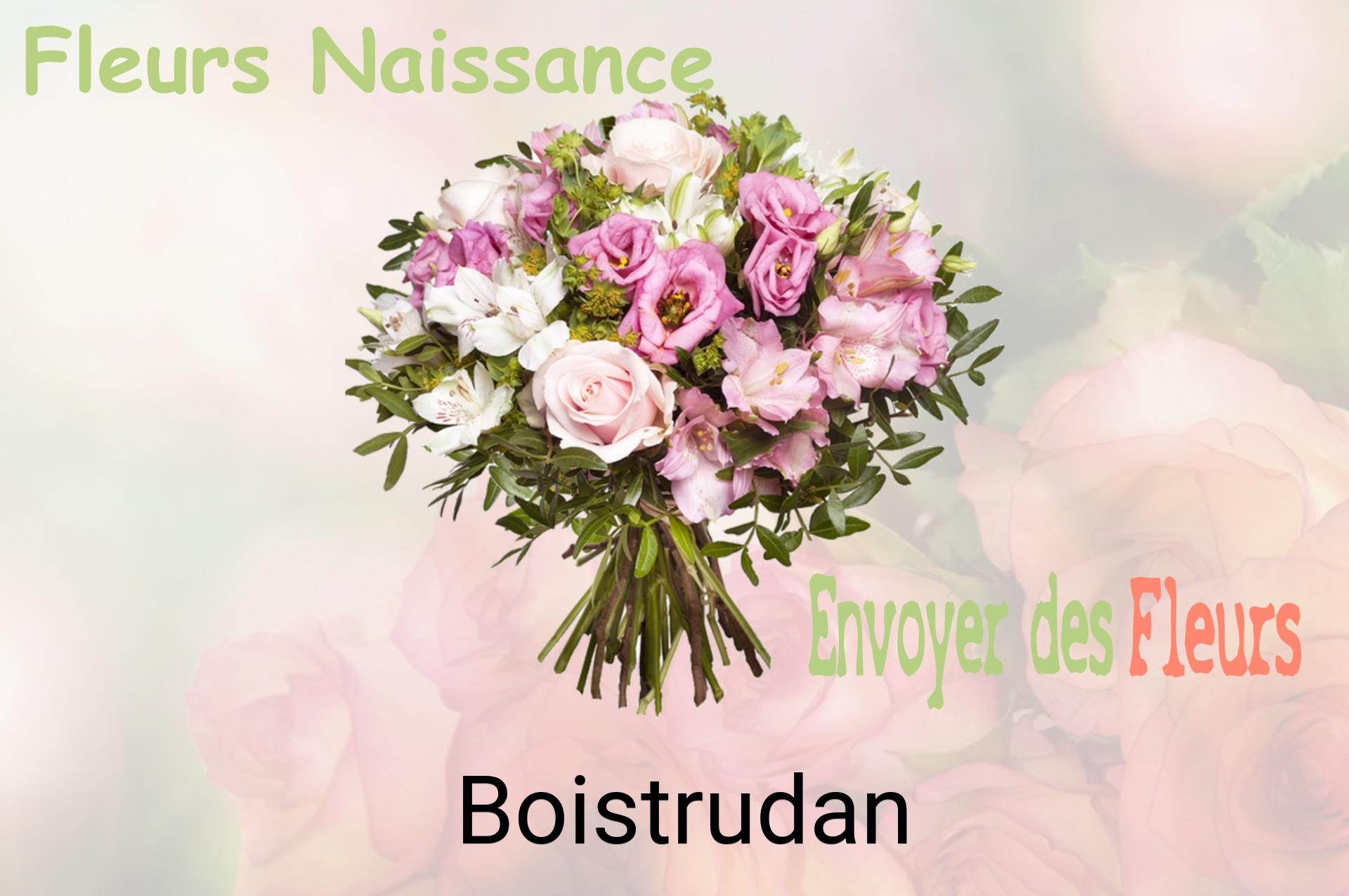 Bouquet de fleurs de naissance livré à Boistrudan